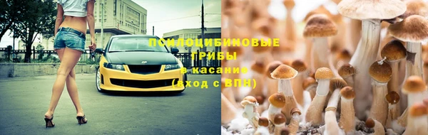 ECSTASY Армянск