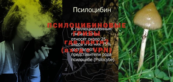ECSTASY Армянск