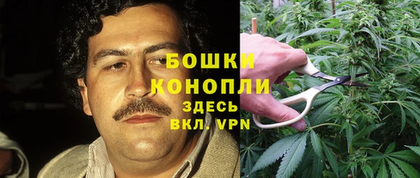 не бодяженный Аркадак