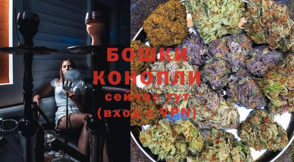ECSTASY Армянск